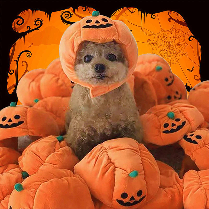 Pet Hat - Halloween Funny Pumpkin Hat